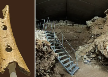 This is what the oldest musical instrument in the world sounds like