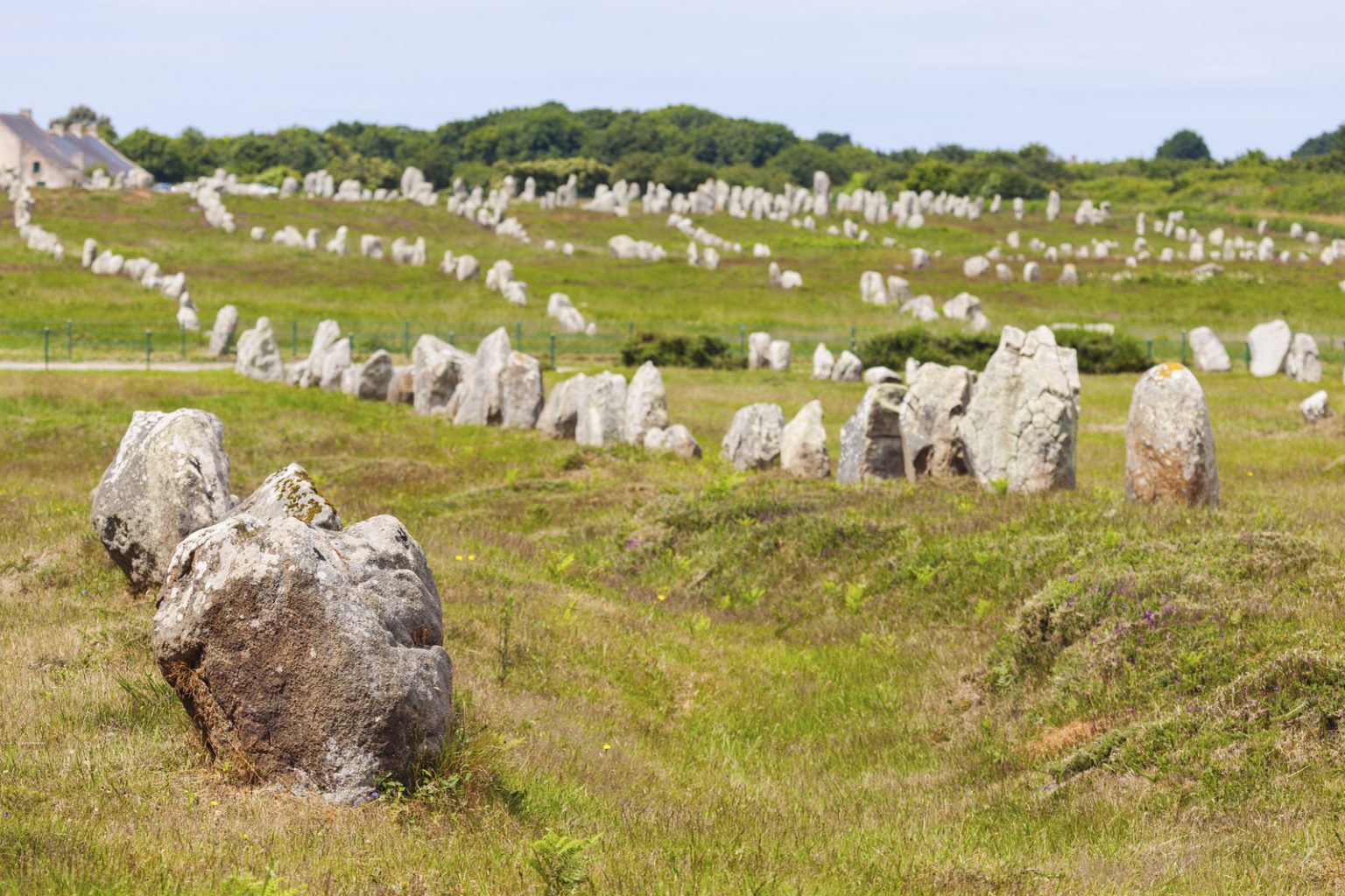 A photograph of the stones at Carnac. Wikimedia Commons.