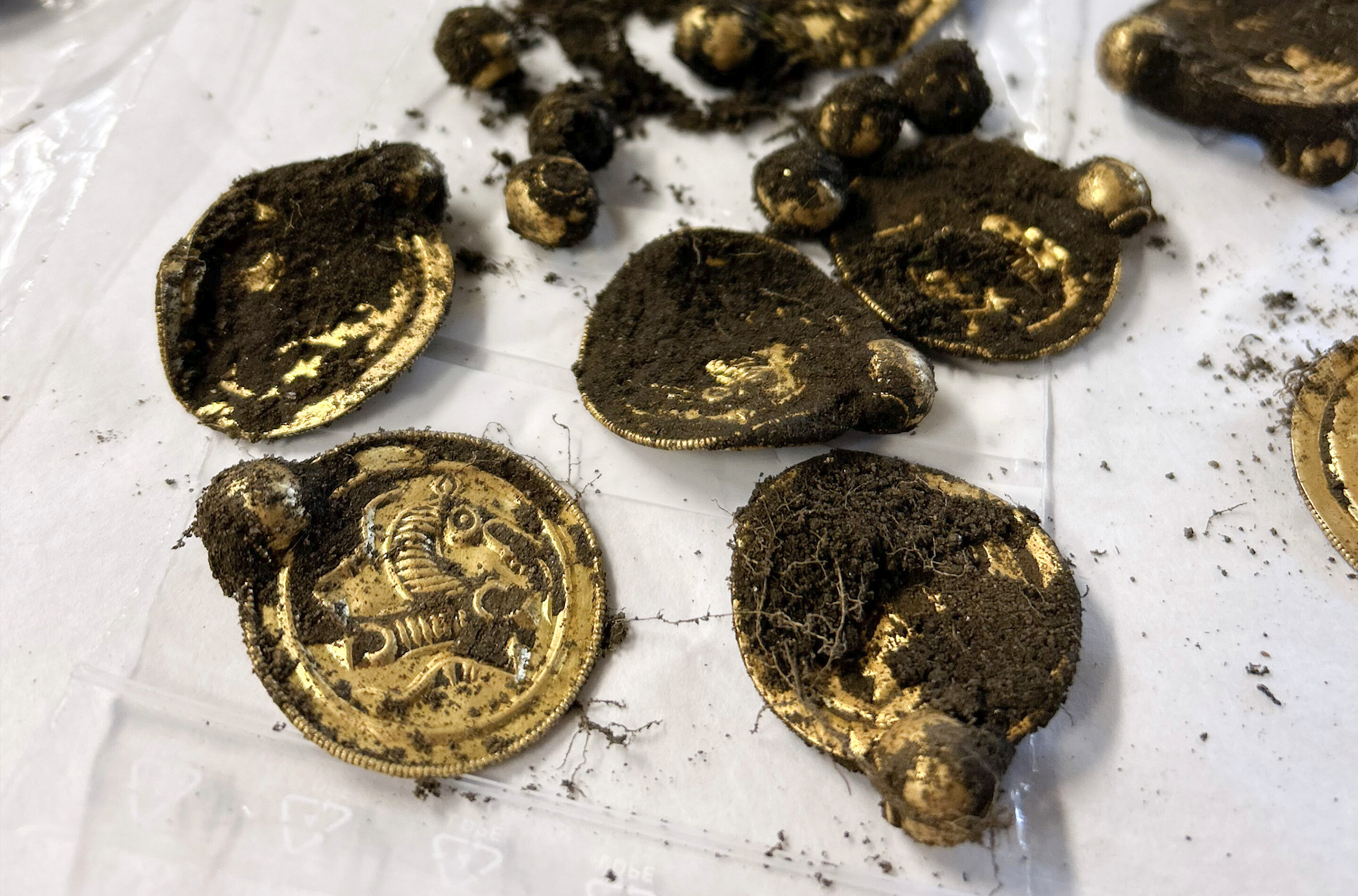 A man discovers incredible ancient treasure using a metal detector