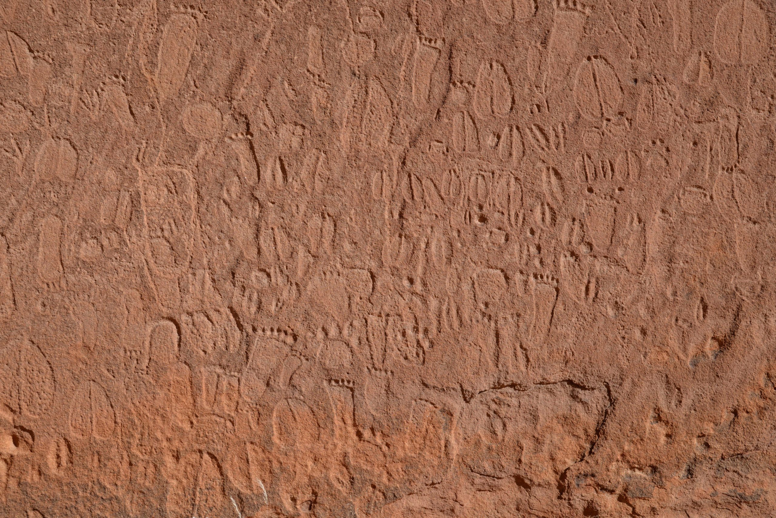 Decoding Namibia's Ancient Rock Art — Curiosmos