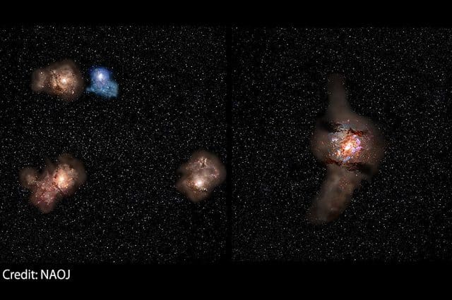 Webb and ALMA Peer Into the Core of the Most Distant Galaxy Protocluster