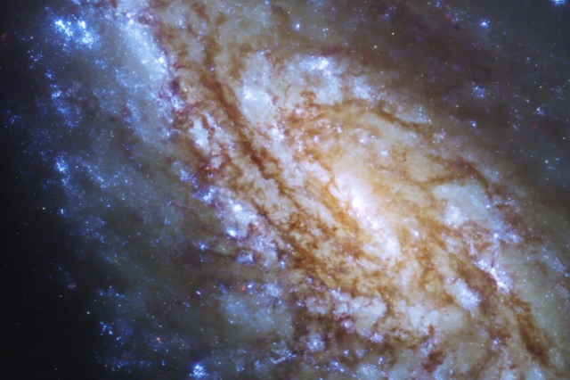 NGC 4654. Credit: NASA's Hubble Space Telescope, ESA, and J. Lee (Space Telescope Science Institute); Processing: Gladys Kober (NASA/Catholic University of America)