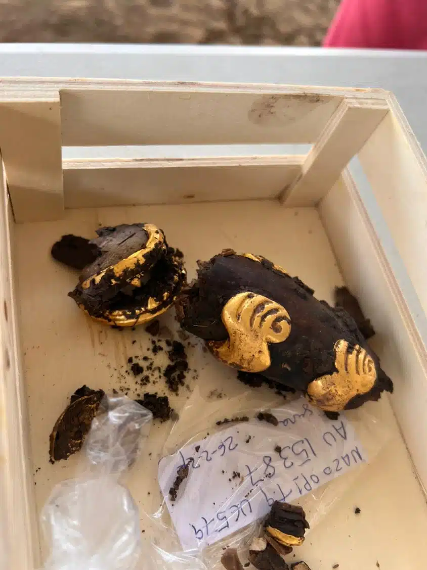 Some of the golden artifacts that were recovered from the tomb. Credit: Panama Ministry of Culture.