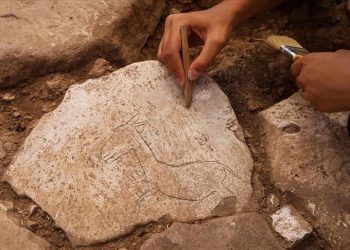 Remarkable Discovery at Karahan Tepe