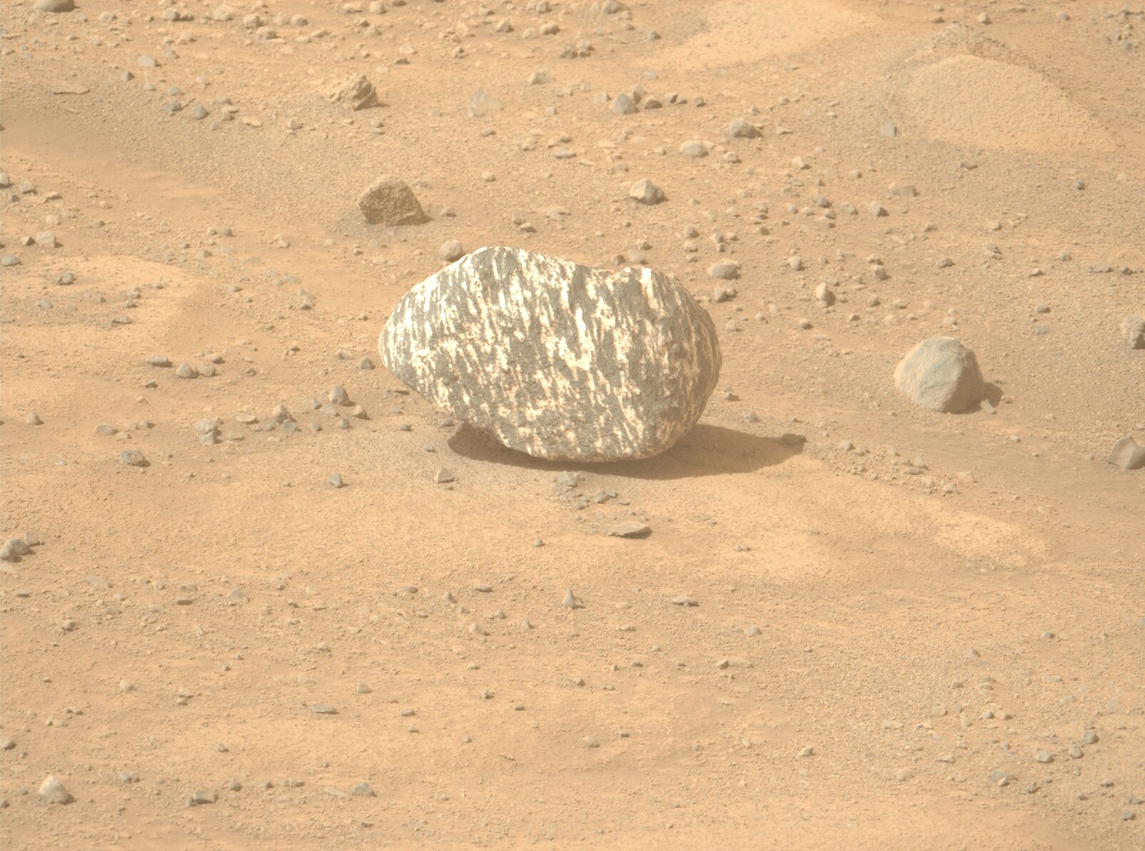 On September 13, 2024 (Sol 1268), NASA's Perseverance rover snapped a fascinating shot of a black-and-white striped rock using its Left Mastcam-Z camera. Positioned on the rover's elevated mast, the Mastcam-Z consists of two advanced cameras designed for capturing high-resolution images. The photo was taken at 12:40:29 local mean solar time. Image credit: NASA/JPL-Caltech/ASU.