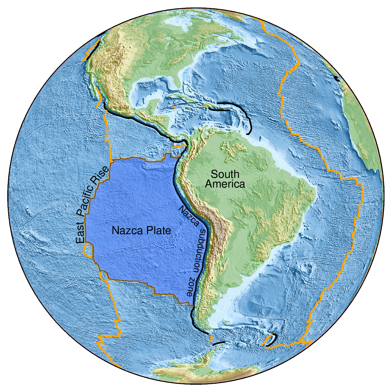 A detailed map of the East Pacific Rise region, highlighting the area where the ancient seafloor was uncovered. (Image Credit: Dr. Jingchuan Wang)