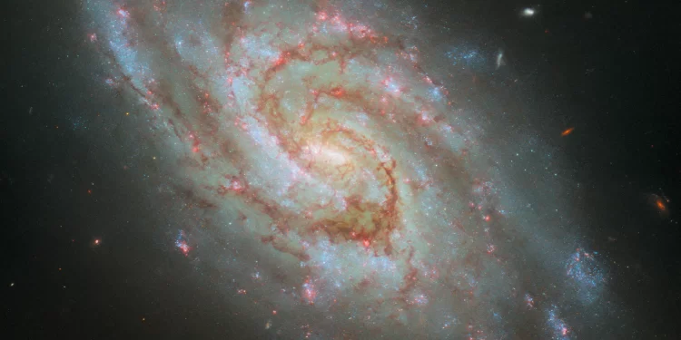 This stunning image from the NASA/ESA Hubble Space Telescope showcases the spiral galaxy IC 1954. Credit goes to ESA/Hubble, NASA, D. Thilker, J. Lee, and the PHANGS-HST Team for this remarkable capture