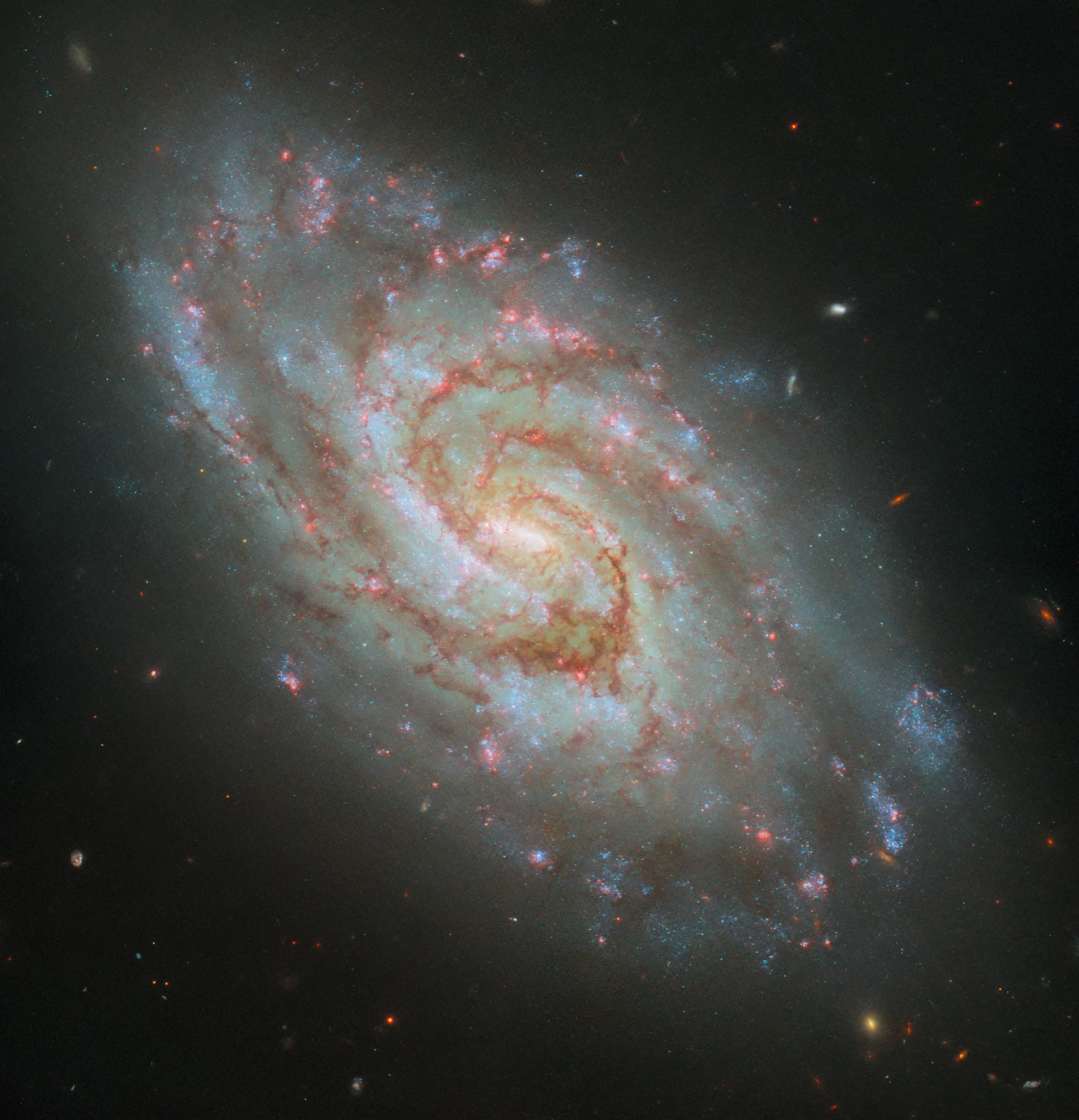 This stunning image from the NASA/ESA Hubble Space Telescope showcases the spiral galaxy IC 1954. Credit goes to ESA/Hubble, NASA, D. Thilker, J. Lee, and the PHANGS-HST Team for this remarkable capture