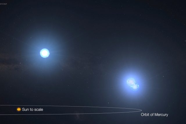 This artistic rendering provides a glimpse into the unique triple star system, TIC 290061484, showcasing how incredibly close these stars orbit one another. If these stars were placed at the center of our solar system, their entire orbits would comfortably fit within the small space inside Mercury's orbit around the Sun. For scale, the sizes of these three stars, as well as the Sun, are shown in proportion, offering a striking comparison. Image credit: NASA’s Goddard Space Flight Center.