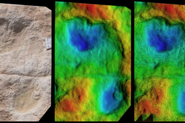 Ancient Human Footprints. Credit: Stewart et al./Science Advances.