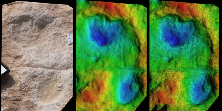 Ancient Human Footprints. Credit: Stewart et al./Science Advances.