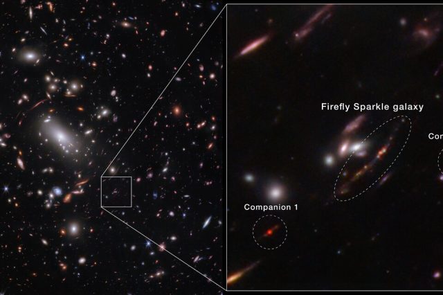 The image is horizontally divided into two sections. On the left, thousands of overlapping celestial objects, located at varying distances, are visible within a galaxy cluster. A small inset at the bottom right is magnified and displayed on the right half of the image. This magnified view highlights the Firefly Sparkle galaxy, marked by a central oval. A line with 10 distinct dots in various colors is used to represent the galaxy’s star clusters. Credit: NASA, ESA, CSA, STScI, C. Willott (NRC-Canada), L. Mowla (Wellesley College), K. Iyer (Columbia)