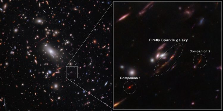 The image is horizontally divided into two sections. On the left, thousands of overlapping celestial objects, located at varying distances, are visible within a galaxy cluster. A small inset at the bottom right is magnified and displayed on the right half of the image. This magnified view highlights the Firefly Sparkle galaxy, marked by a central oval. A line with 10 distinct dots in various colors is used to represent the galaxy’s star clusters. Credit: NASA, ESA, CSA, STScI, C. Willott (NRC-Canada), L. Mowla (Wellesley College), K. Iyer (Columbia)