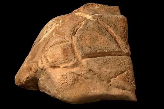 A carved rock depicting a symbolic turtle god was carefully positioned in a niche within the ritual area (Credit: Case Western Reserve University).