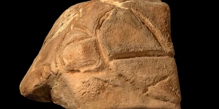 A carved rock depicting a symbolic turtle god was carefully positioned in a niche within the ritual area (Credit: Case Western Reserve University).