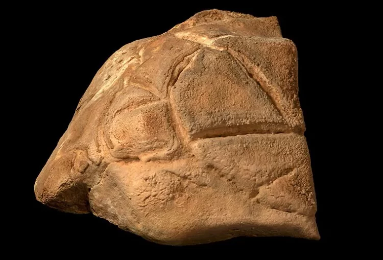 A carved rock depicting a symbolic turtle god was carefully positioned in a niche within the ritual area (Credit: Case Western Reserve University).