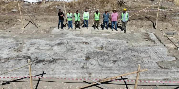 An aerial view of the Roman mosaic. Credit: Elazığ Museum.