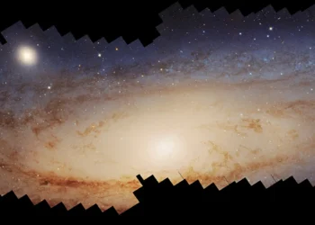 A Glimpse of the Stunning Full Image Image Credit: NASA, ESA, Benjamin F. Williams (University of Washington), Zhuo Chen (University of Washington), L. Clifton Johnson (Northwestern University); Image Processing: Joseph DePasquale (STScI).