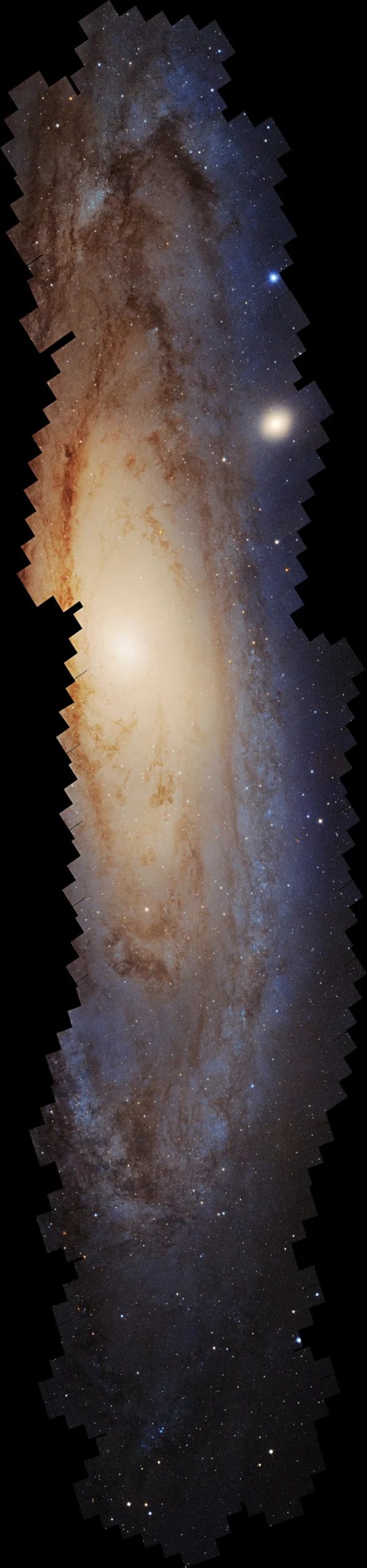 Andromeda as We’ve Never Seen It BeforeImage Credit: NASA, ESA, Benjamin F. Williams (University of Washington), Zhuo Chen (University of Washington), L. Clifton Johnson (Northwestern University); Image Processing: Joseph DePasquale (STScI).