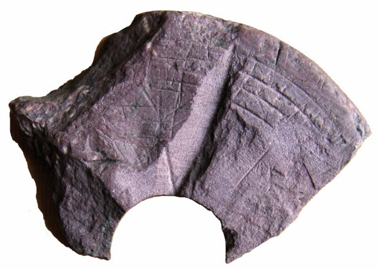 A fragment of one of the disks. Image Credit: O. Veremeychyk.