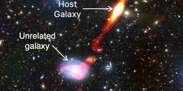 This is the newly-discovered giant radio galaxy ‘Inkathazo’. Credit: Credit K.K.L Charlton (UCT), MeerKAT, HSC, CARTA, IDIA Licence type Attribution (CC BY 4.0).