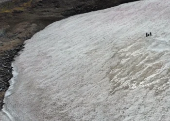 Researchers analyze a long-standing ice patch on the Beartooth Plateau, located within the Greater Yellowstone Ecosystem. Photo credit: Joe McConnell / Desert Research Institute.