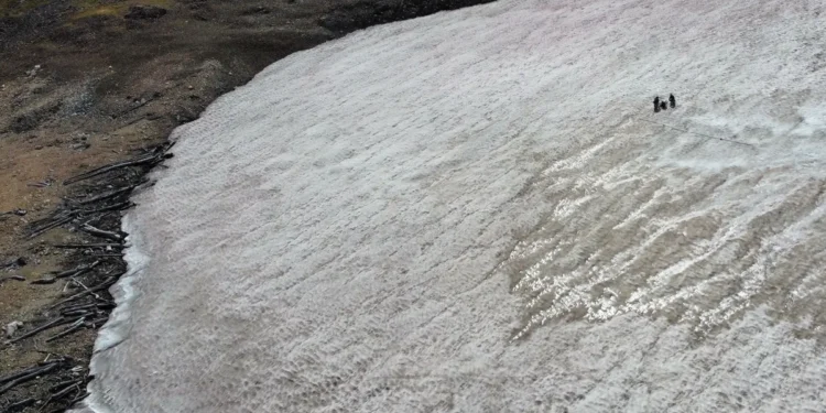 Researchers analyze a long-standing ice patch on the Beartooth Plateau, located within the Greater Yellowstone Ecosystem. Photo credit: Joe McConnell / Desert Research Institute.