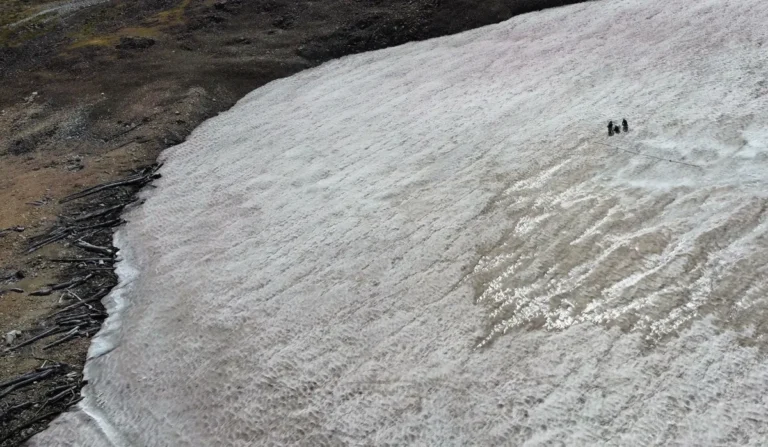 Researchers analyze a long-standing ice patch on the Beartooth Plateau, located within the Greater Yellowstone Ecosystem. Photo credit: Joe McConnell / Desert Research Institute.