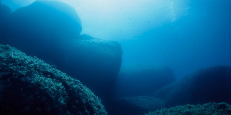 An image of the sea floor. YAYIMAGES/Curiosmos.