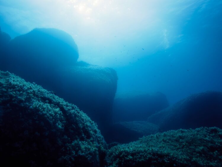 An image of the sea floor. YAYIMAGES/Curiosmos.