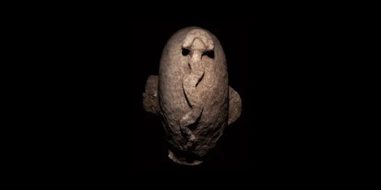 An artefact recovered from Nevali Cori.