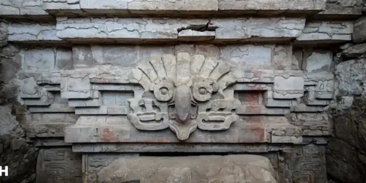 A photograph of the massive Owl. Credit: INAH.