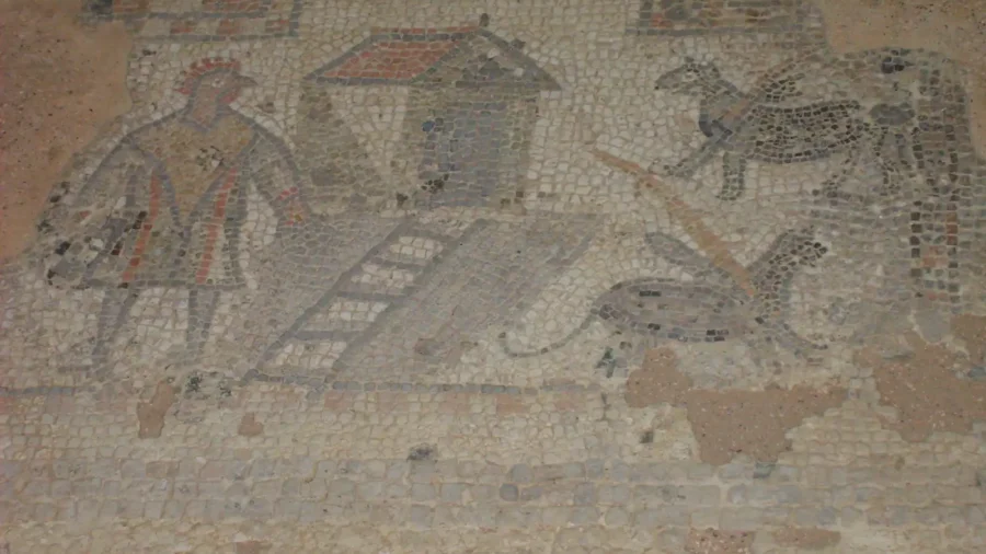 The Medusa mosaic at Brading Roman Villa on the Isle of Wight