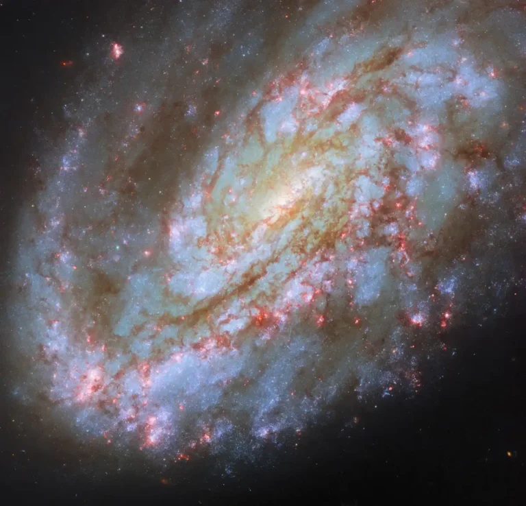 Hubble image of NGC 4654, an asymmetric spiral galaxy in the Virgo Cluster