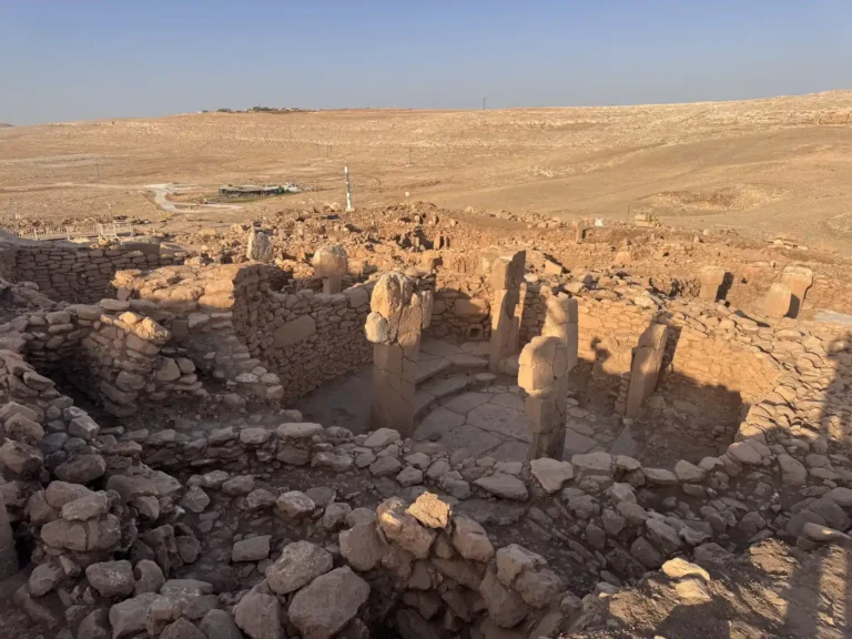 View across the excavated Neolithic buildings and stone pillars at Karahantepe