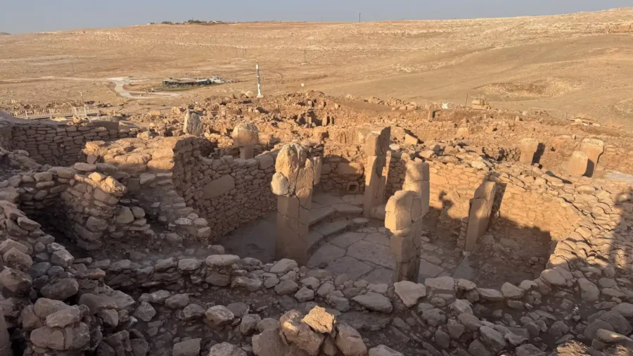 View across the excavated Neolithic buildings and stone pillars at Karahantepe