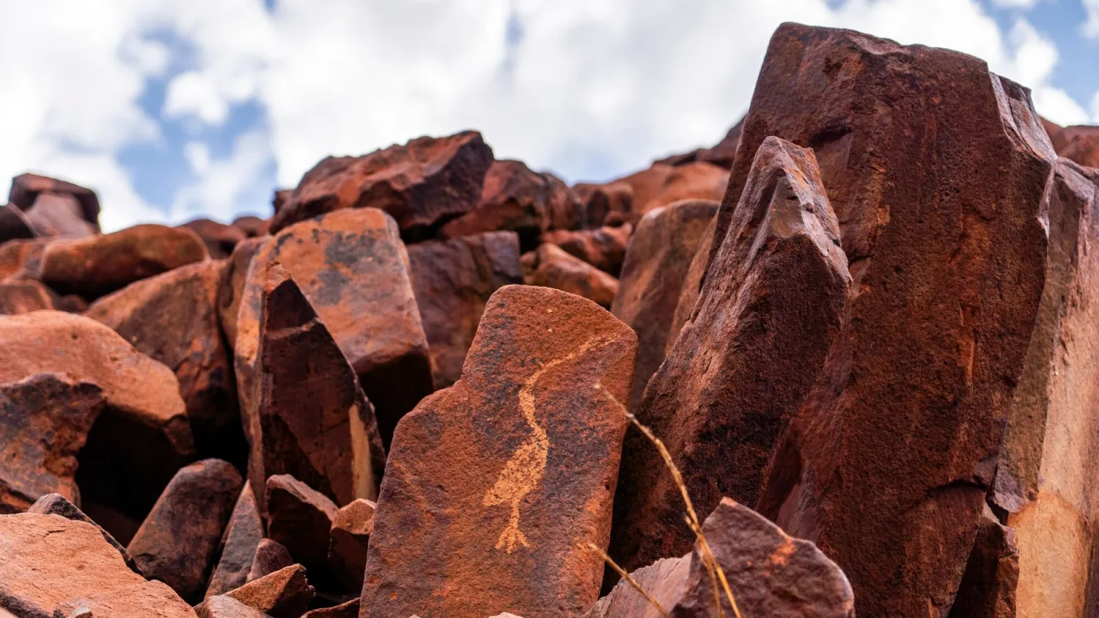 Ancient petroglyphs carved into a red rock surface at Murujuga