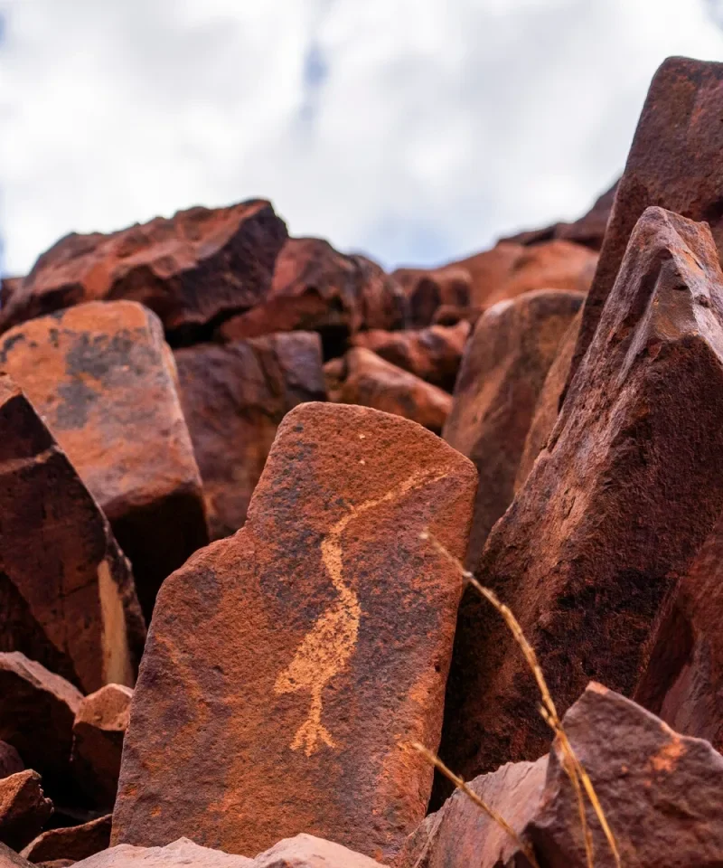 Ancient petroglyphs carved into a red rock surface at Murujuga