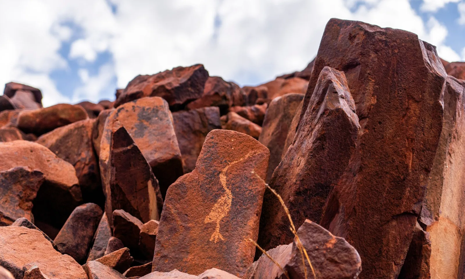 Ancient petroglyphs carved into a red rock surface at Murujuga