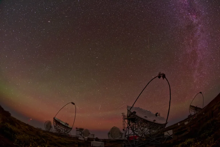 Gamma-ray telescopes under a star-filled sky at the Roque de los Muchachos Observatory