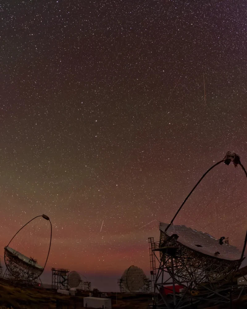 Gamma-ray telescopes under a star-filled sky at the Roque de los Muchachos Observatory