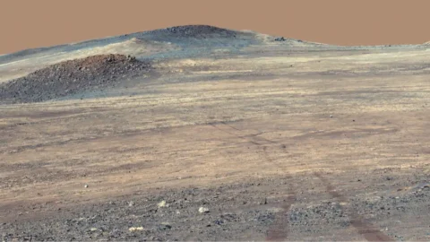 Wide Perseverance rover panorama of pale rocks and tracks at Broom Point on Mars