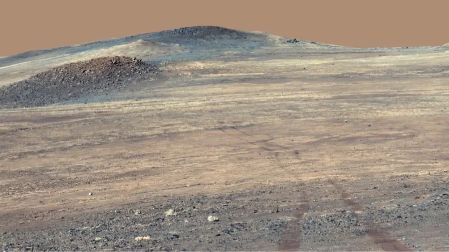 Wide Perseverance rover panorama of pale rocks and tracks at Broom Point on Mars