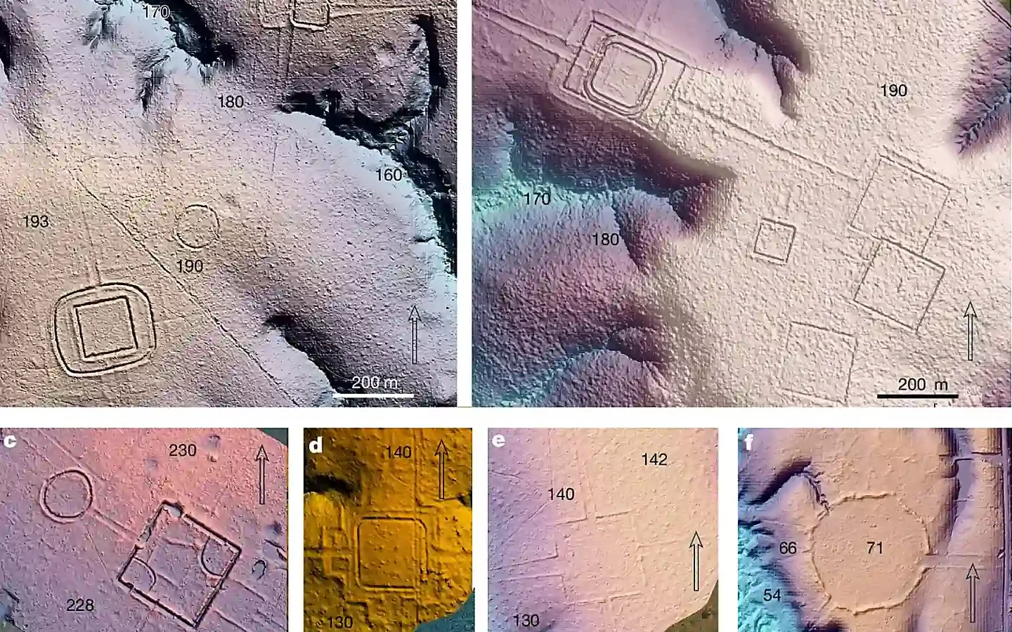 LiDAR-based terrain models showing precolonial earthworks at six sites in southwest Amazonia: a, Piloto; b, D. Schaan; c, Fazenda Atlântica; d, amag34/Lid24_05_43a; e, Lid24_05_44a; f, Lid24_09_1b. Colors and shading highlight the terrain, while italic numbers indicate relative elevation in metres. Credit: Nature (2026), Over 20,000 precolonial earthworks in the Southwest Amazonia.