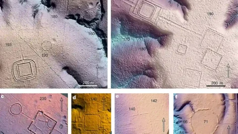 LiDAR-based terrain models showing precolonial earthworks at six sites in southwest Amazonia: a, Piloto; b, D. Schaan; c, Fazenda Atlântica; d, amag34/Lid24_05_43a; e, Lid24_05_44a; f, Lid24_09_1b. Colors and shading highlight the terrain, while italic numbers indicate relative elevation in metres. Credit: Nature (2026), Over 20,000 precolonial earthworks in the Southwest Amazonia.