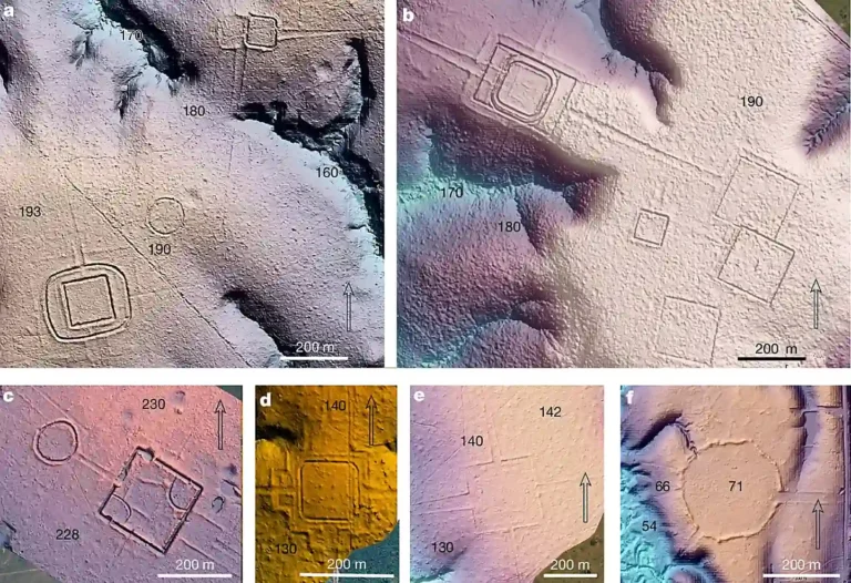 LiDAR-based terrain models showing precolonial earthworks at six sites in southwest Amazonia: a, Piloto; b, D. Schaan; c, Fazenda Atlântica; d, amag34/Lid24_05_43a; e, Lid24_05_44a; f, Lid24_09_1b. Colors and shading highlight the terrain, while italic numbers indicate relative elevation in metres. Credit: Nature (2026), Over 20,000 precolonial earthworks in the Southwest Amazonia.