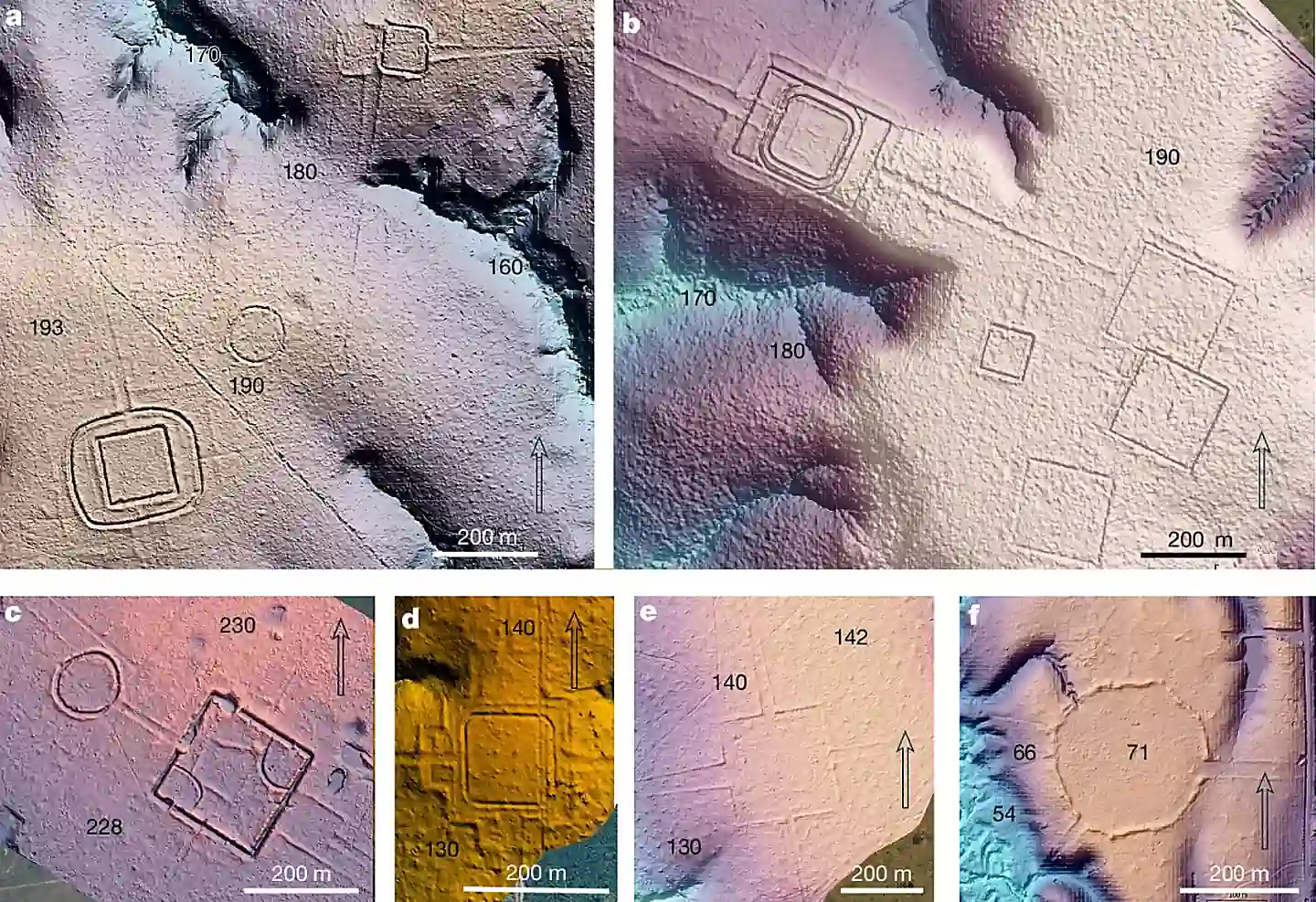 LiDAR-based terrain models showing precolonial earthworks at six sites in southwest Amazonia: a, Piloto; b, D. Schaan; c, Fazenda Atlântica; d, amag34/Lid24_05_43a; e, Lid24_05_44a; f, Lid24_09_1b. Colors and shading highlight the terrain, while italic numbers indicate relative elevation in metres. Credit: Nature (2026), Over 20,000 precolonial earthworks in the Southwest Amazonia.