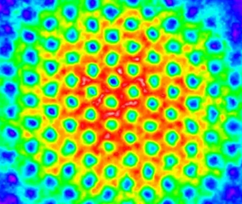 Vortices in a Bose–Einstein condensate used to study a quantum field