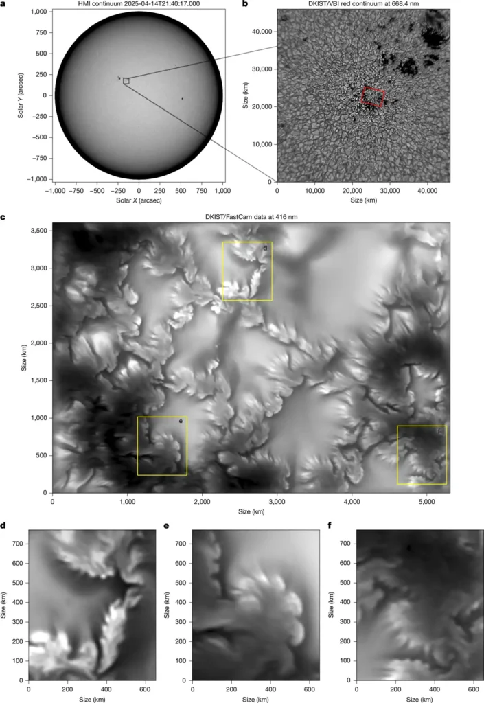 Close-up scientific image of vortices moving along a magnetic boundary on the Sun