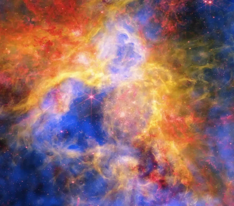 Multiwavelength view of the Tarantula Nebula showing blue X-ray gas, red infrared dust and green optical hydrogen